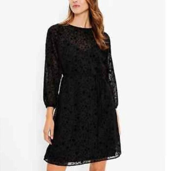LOFT Dress Black Polka Dot Long Sleeve Round Neck Layered Design Sheer Size 12 P - Picture 1 of 12